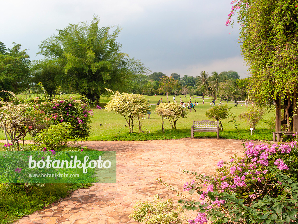 411268 - Spacious tropical park with rainy skies