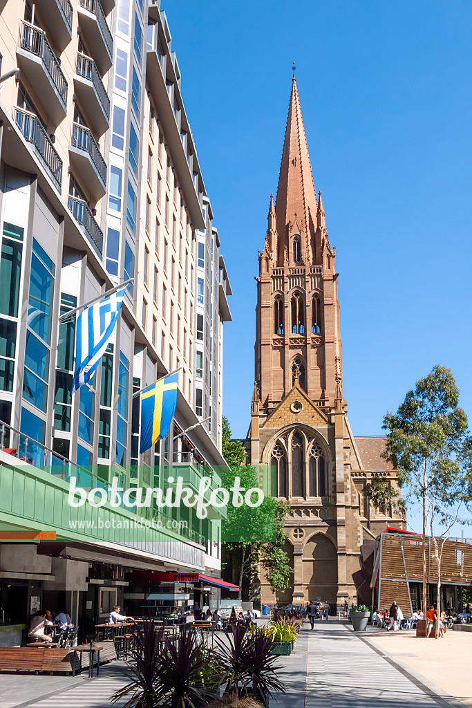 455161 - St Paul's Cathedral, Melbourne, Australia