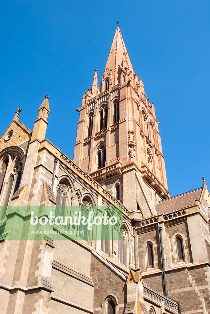 455162 - St Paul's Cathedral, Melbourne, Australia