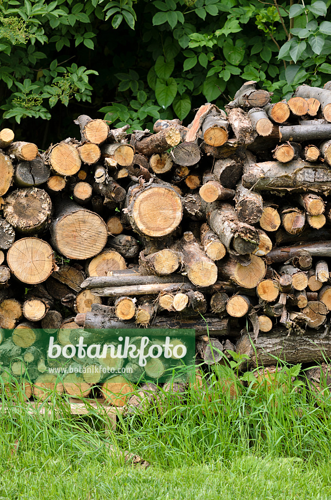 521350 - Stack of wood in a natural garden