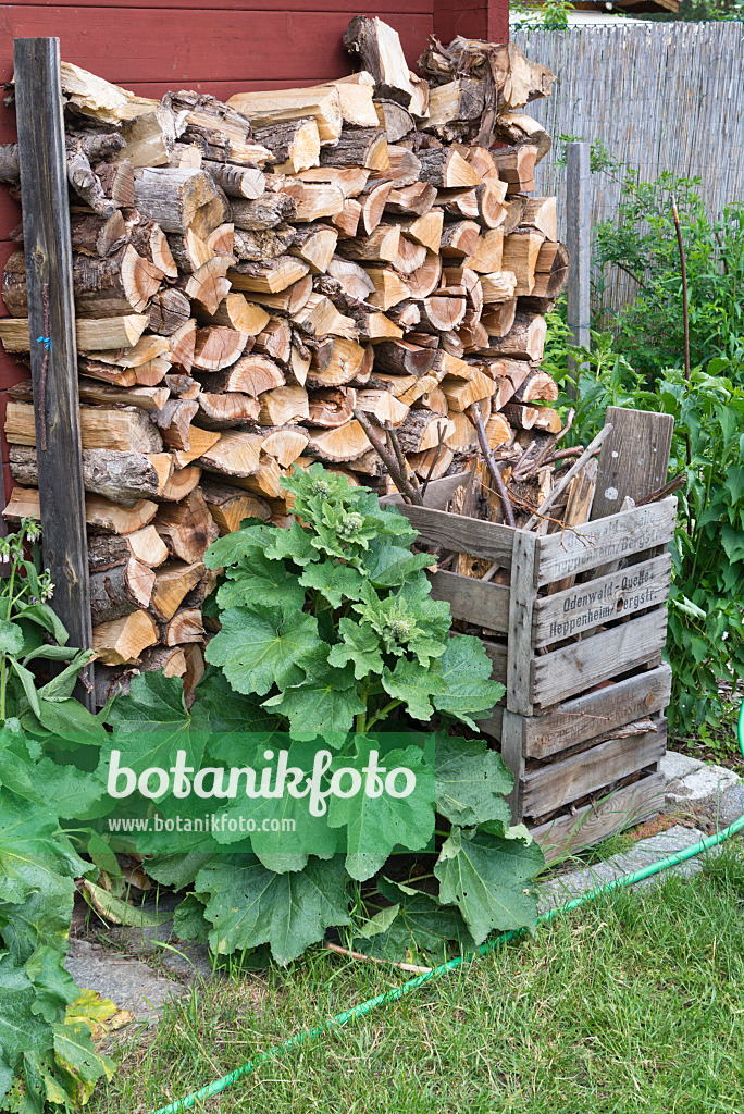 557047 - Stack of wood in a natural garden
