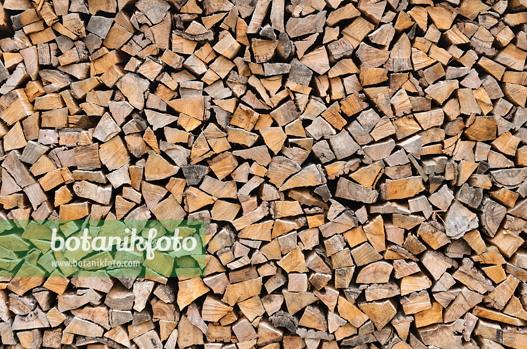524067 - Stacks of logs for the cold season
