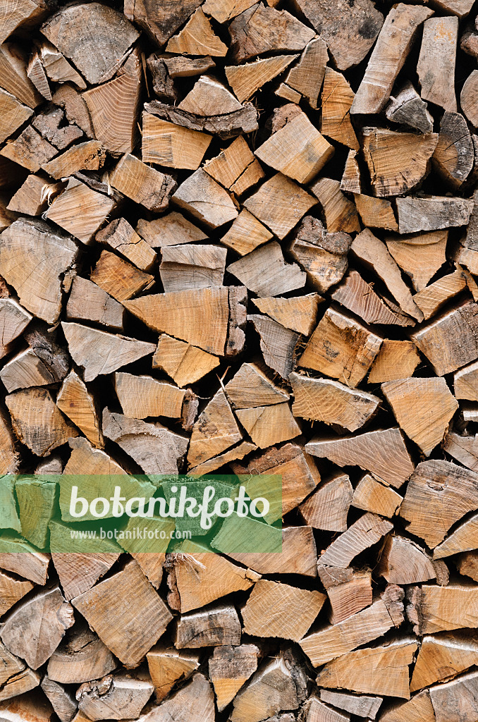524068 - Stacks of logs for the cold season