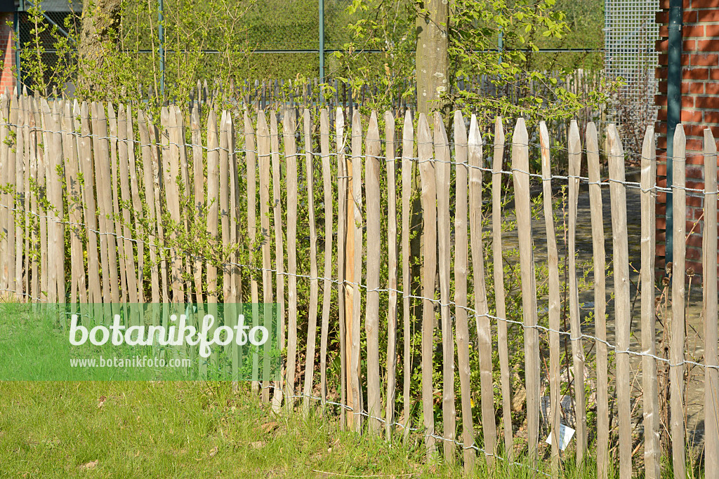 554041 - Stake fence in front of an allotment garden