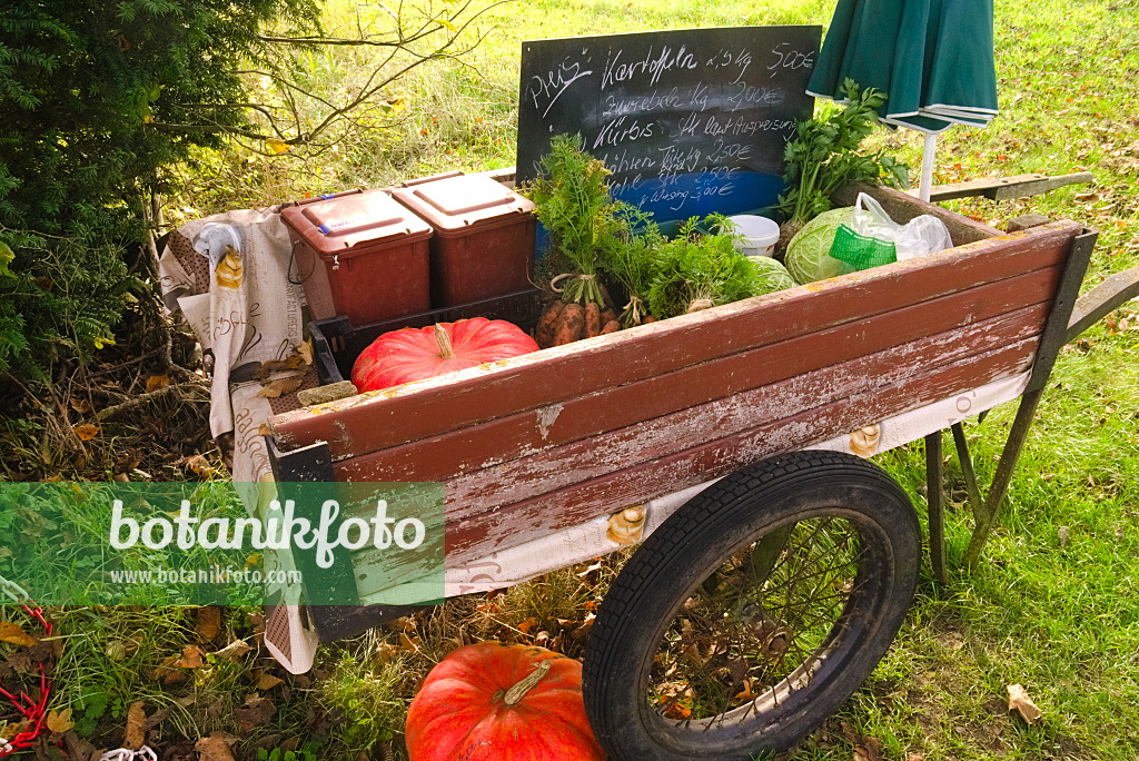 670037 - Stand de vente de légumes