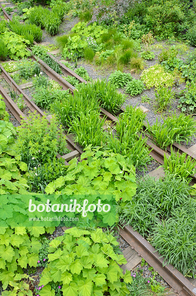 508102 - Staudenbeet auf einer stillgelegten Hochbahntrasse, High Line, New York, USA