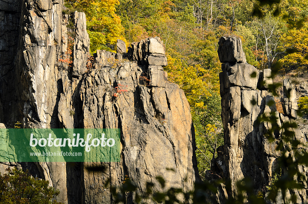 501218 - Steep granite walls, Bode Valley Nature Reserve, Germany