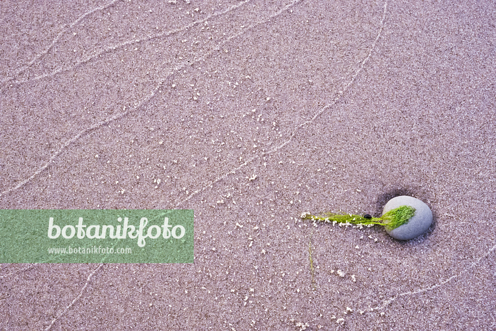 369002 - Still life on the shore