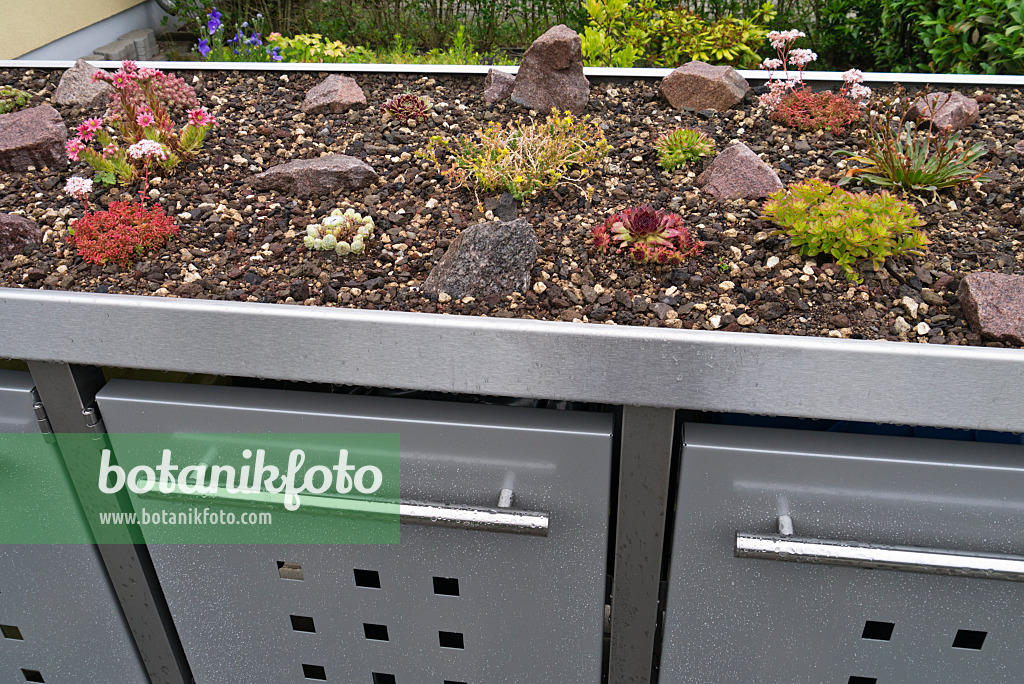 534265 - Succulent plants on a metal bin cover