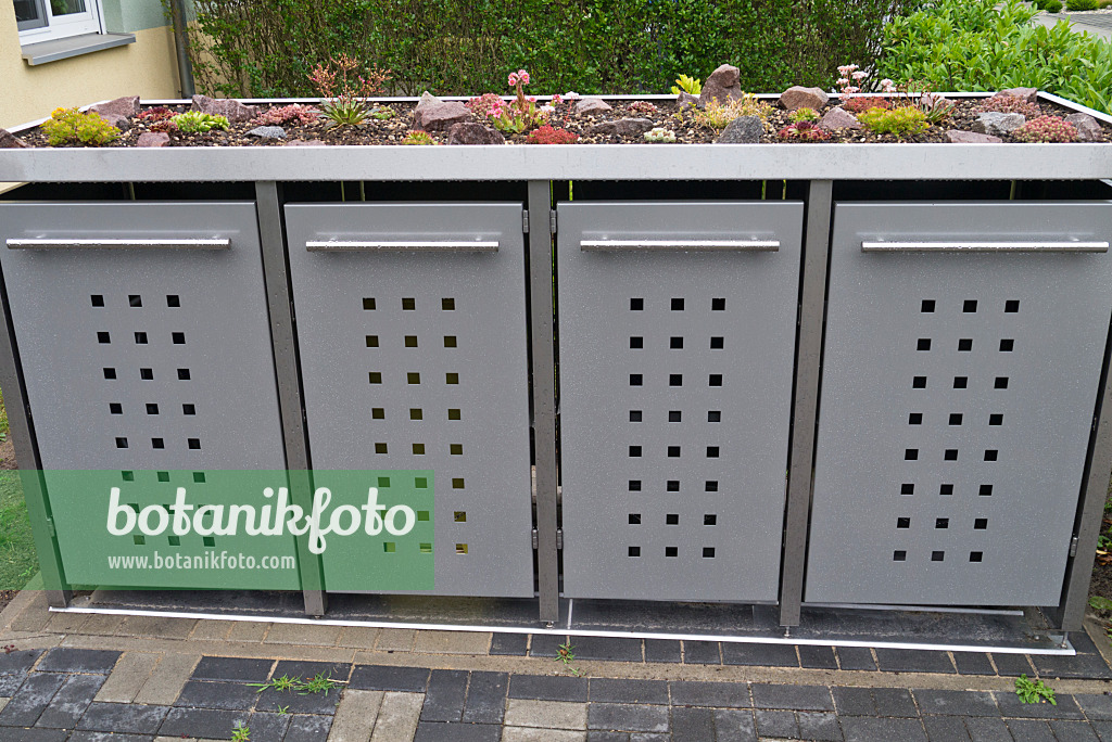 534266 - Sukkulenten auf einer Mülltonnenbox aus Metall