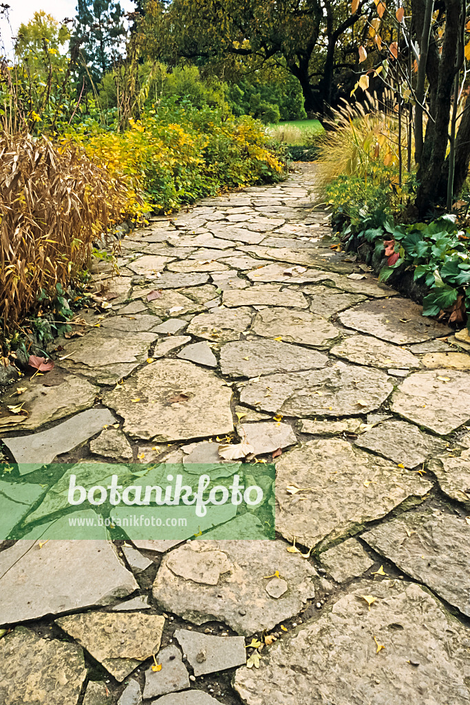395058 - Sunny garden path with irregular stone slabs in an autumnal garden