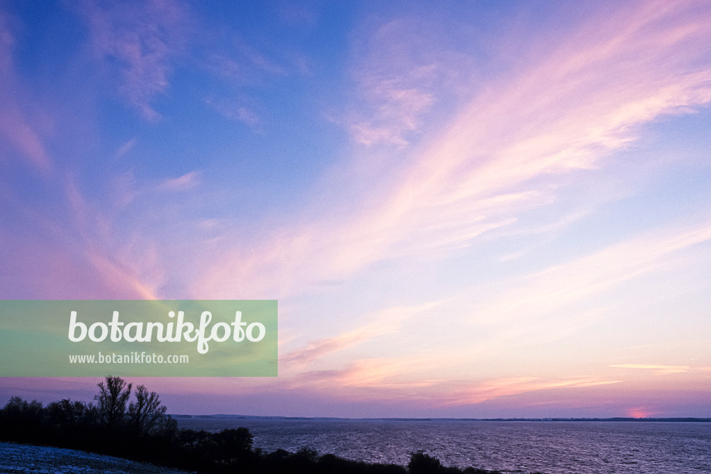 372019 - Sunset with pink cirrus clouds over the Achterwasser, Usedom, Germany