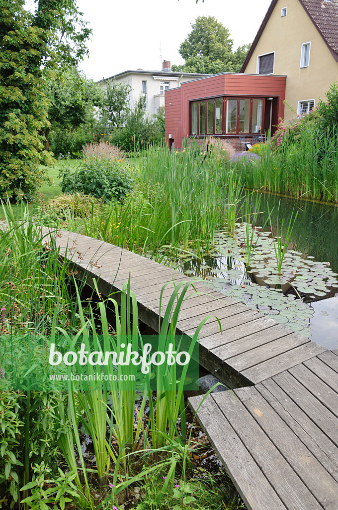 474044 - Swimming pond with wooden decking area