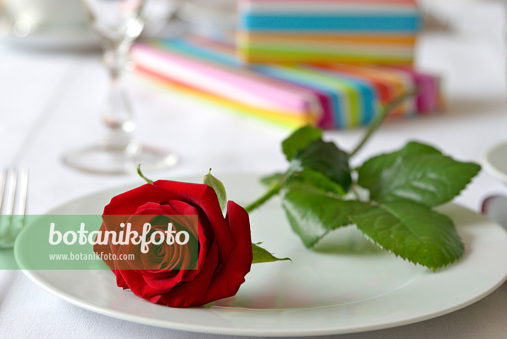 452163 - Table decoration with red rose and presents