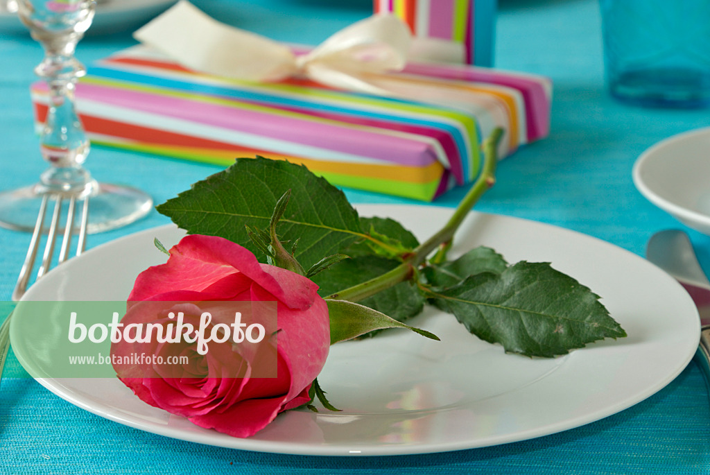 452165 - Table decoration with red rose and presents
