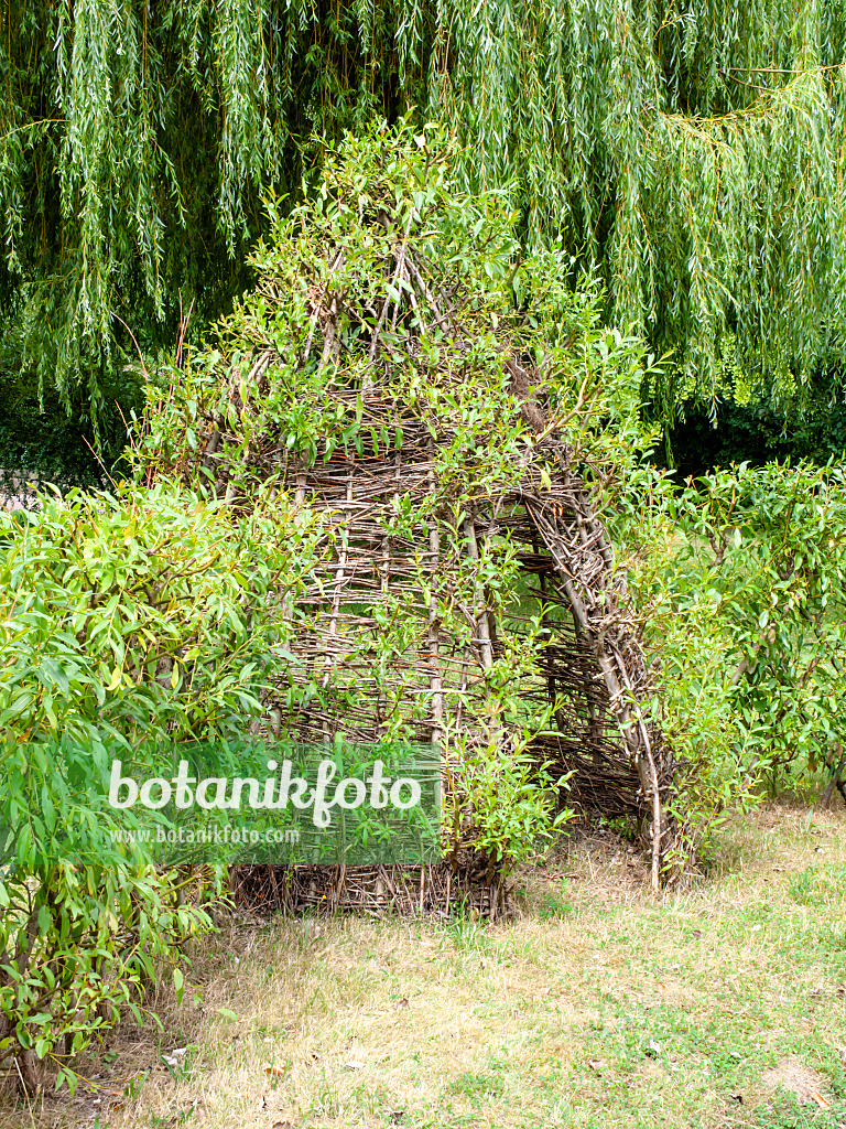 463045 - Tente en osier