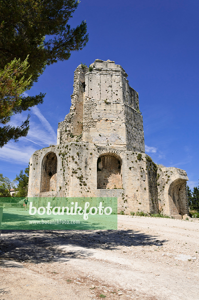 557298 - Tour Magne, Jardins de la Fontaine, Nîmes, Frankreich