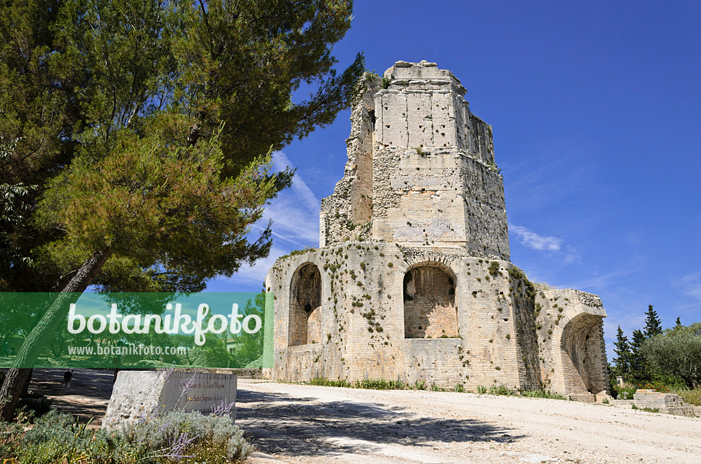 557299 - Tour Magne, Jardins de la Fontaine, Nîmes, Frankreich