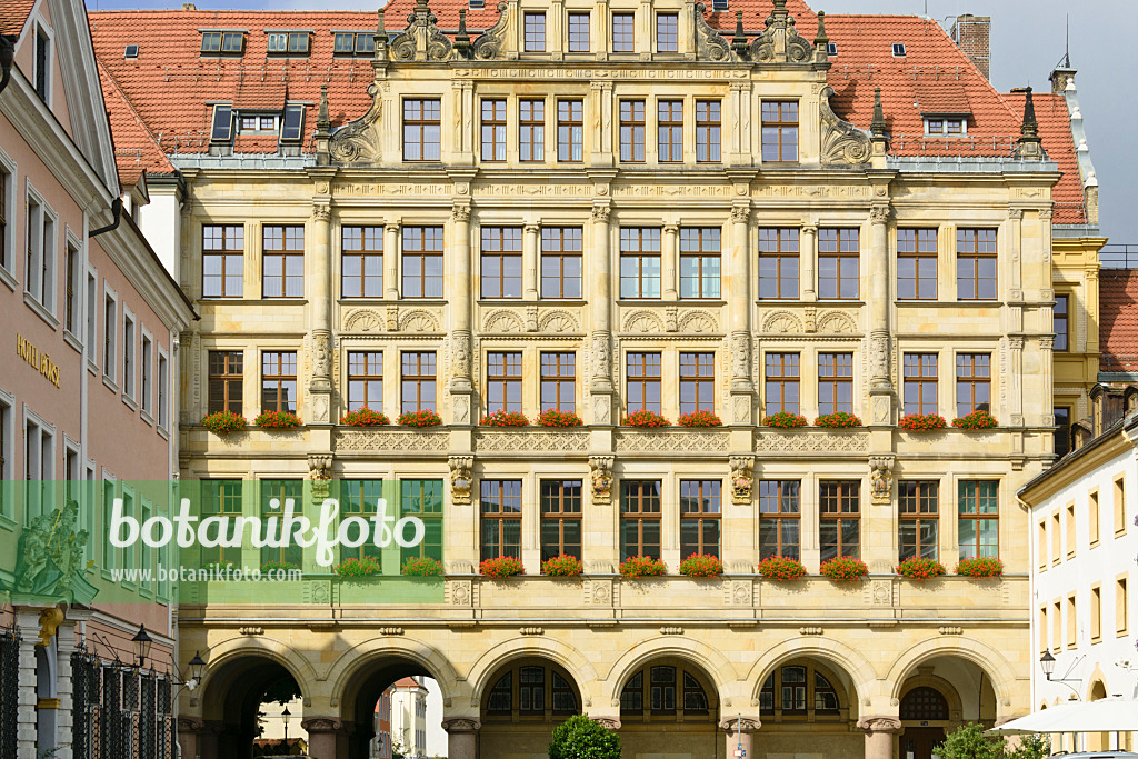 559046 - Town Hall, Görlitz, Germany
