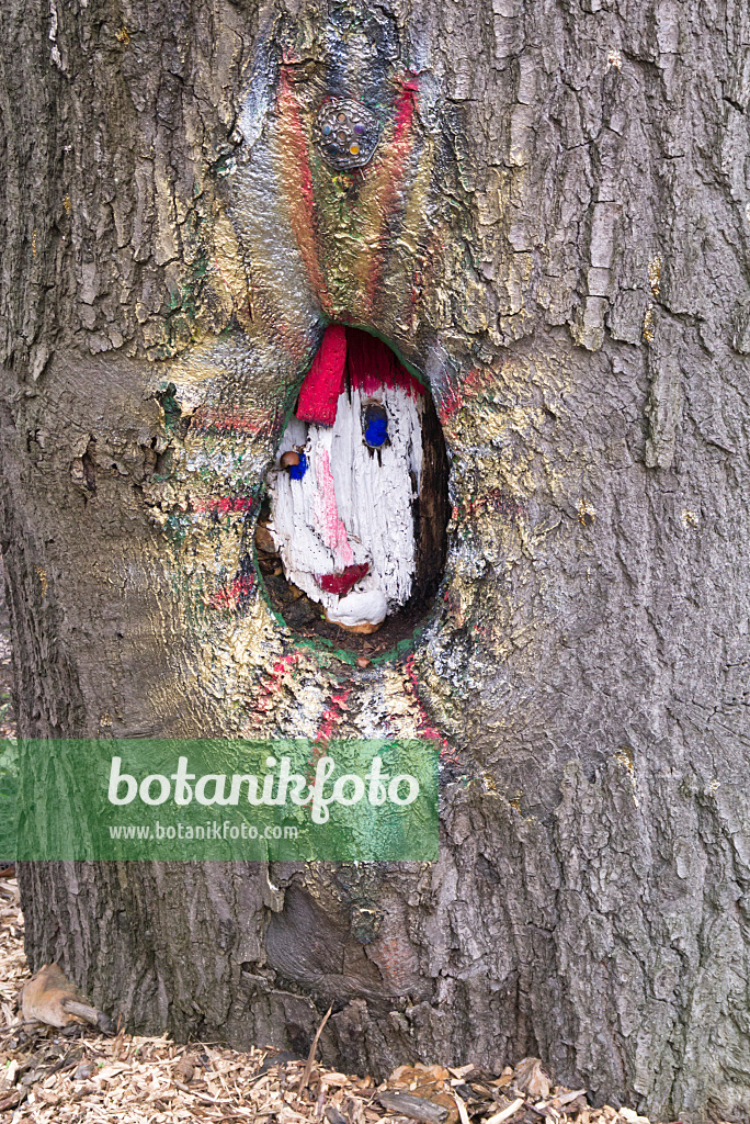 578026 - Tree trunk with a painted face