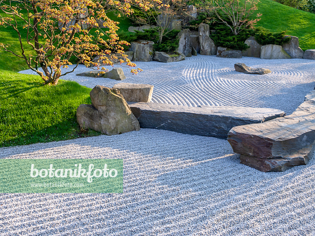 437127 - Trockenlandschaftsgarten, Japanischer Garten, Erholungspark Marzahn, Berlin, Deutschland