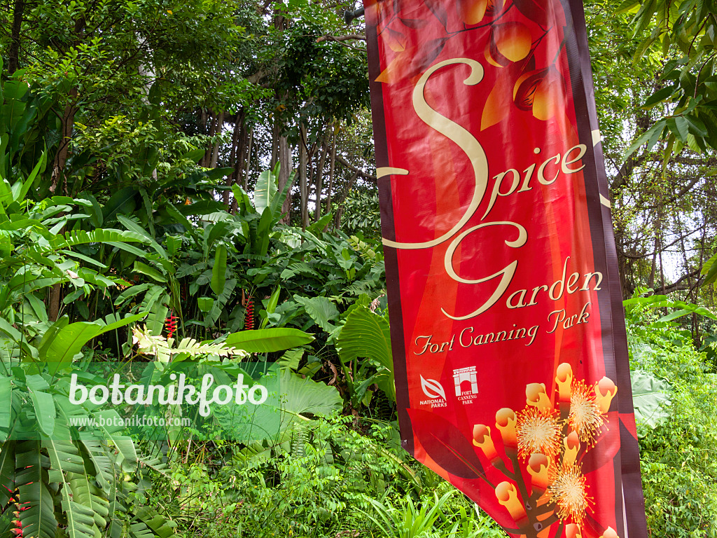 411153 - Tropical vegetation with red banner of the spice garden, Fort Canning Park, Singapore