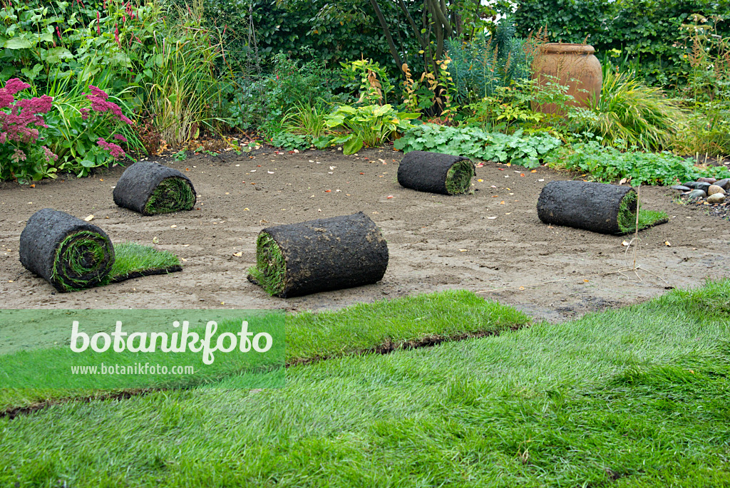 460028 - Turf, partially laid out and rolled up in an allotment garden