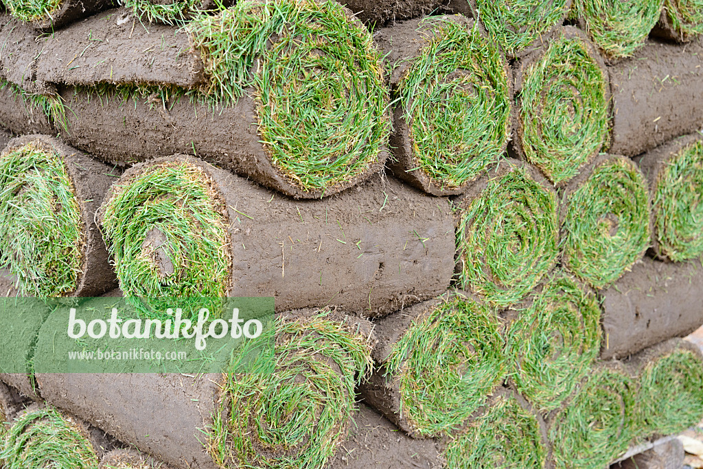 548126 - Turf stacked in several layers