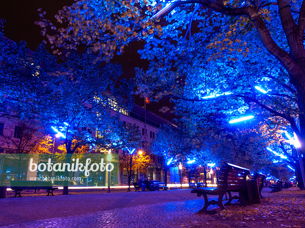 442146 - Unter den Linden, Berlin, Germany
