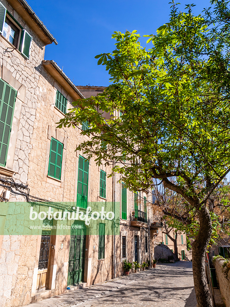 424046 - Valldemossa, Majorca, Spain