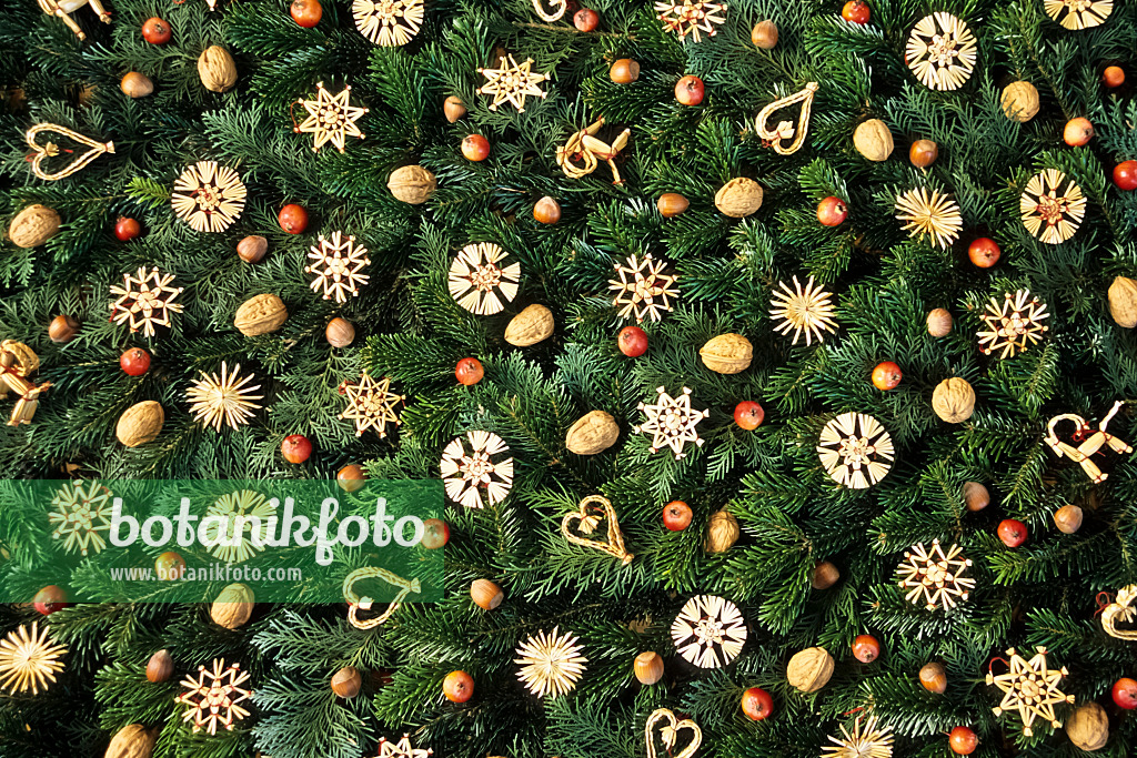 433235 - Verdure de sapin avec étoiles de paille
