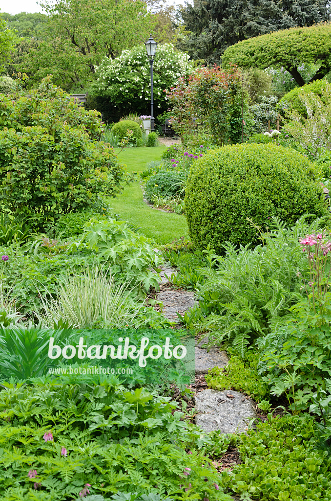 544122 - Vernal perennial garden