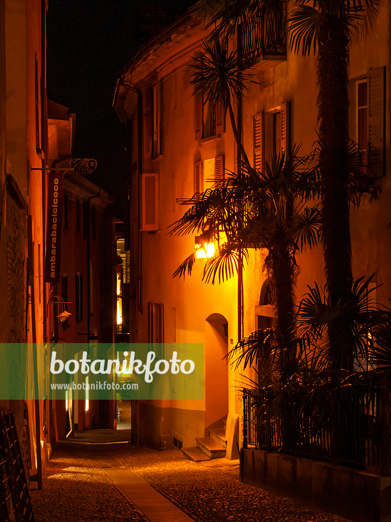 414126 - Vieille ville, Locarno, Suisse