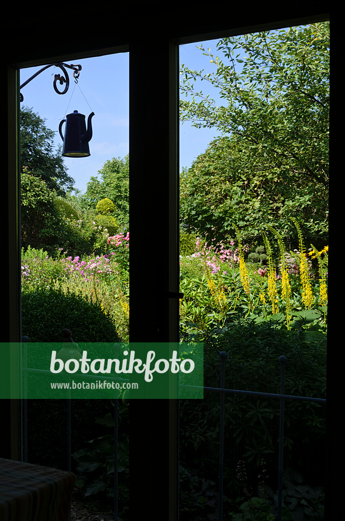 570083 - View out of a window into a perennial garden