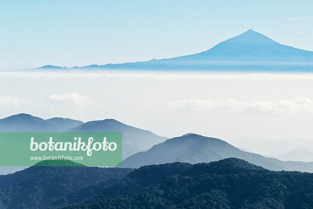 363054 - Vue sur Ténérife et El Teide, parc national de Garajonay, La Goméra, Espagne