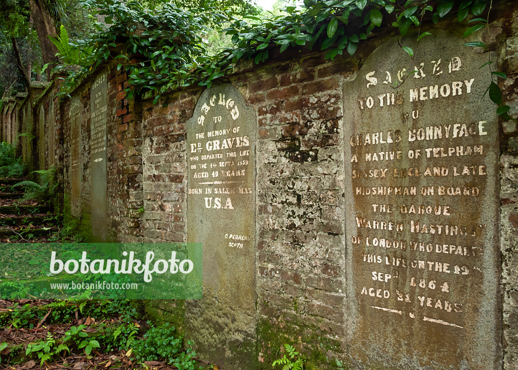 455426 - Wall with historic gravestones, Fort Canning Park, Singapore