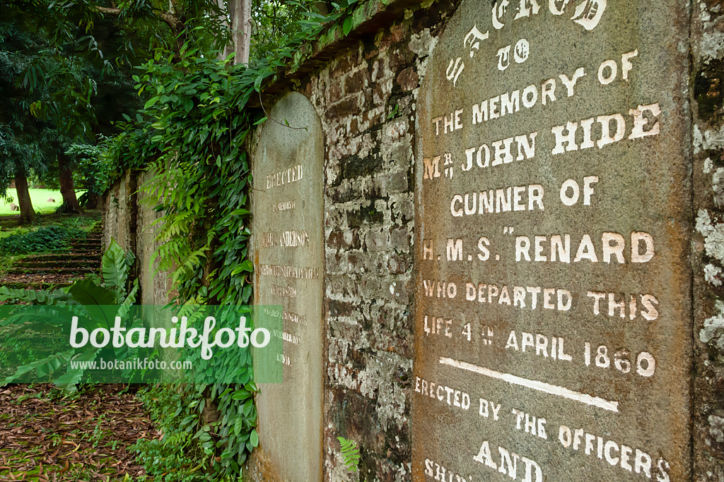 455425 - Wand mit historischen Grabsteinen, Fort Canning Park, Singapur