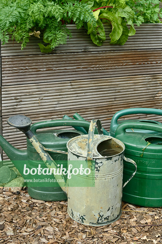 558005 - Watering cans made of sheet metal and plastic in front of a raised bed