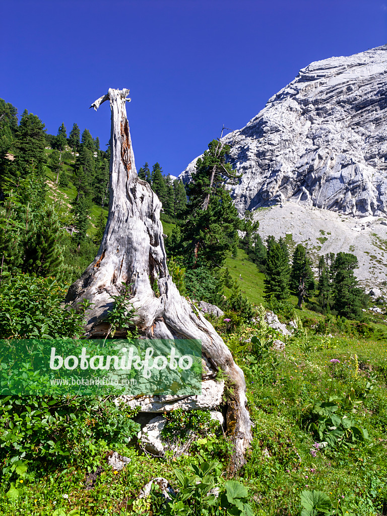 439356 - Wettersteingebirge Nature Reserve, Germany