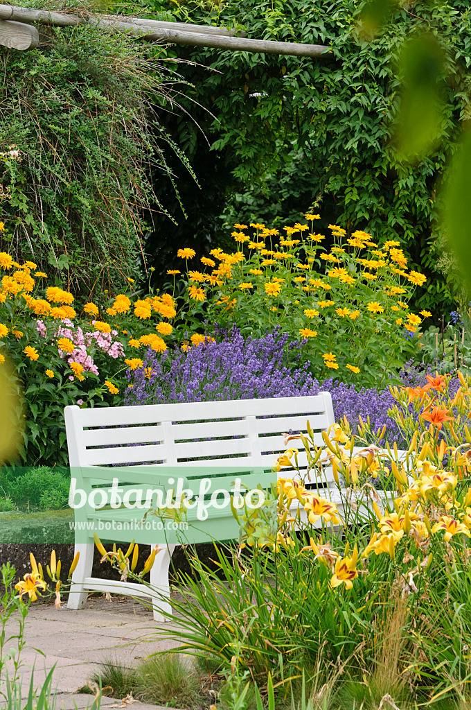474023 - White bench in a perennial garden