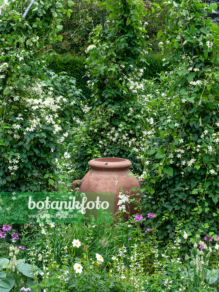 462162 - White garden with clay vase