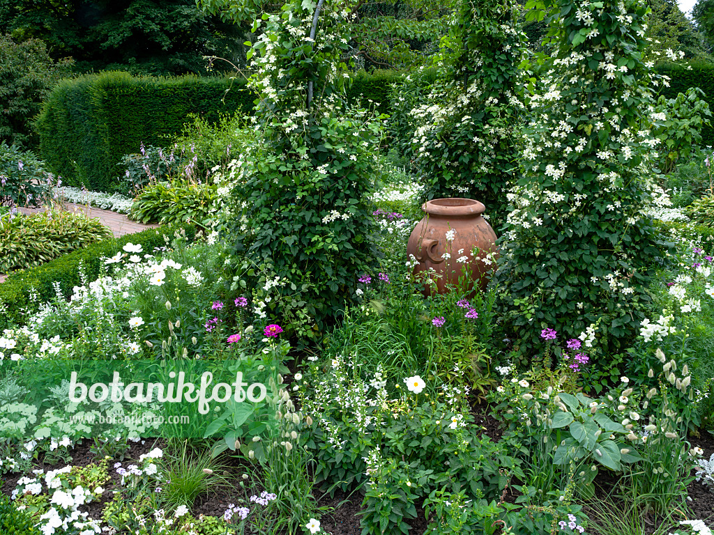 462163 - White garden with clay vase