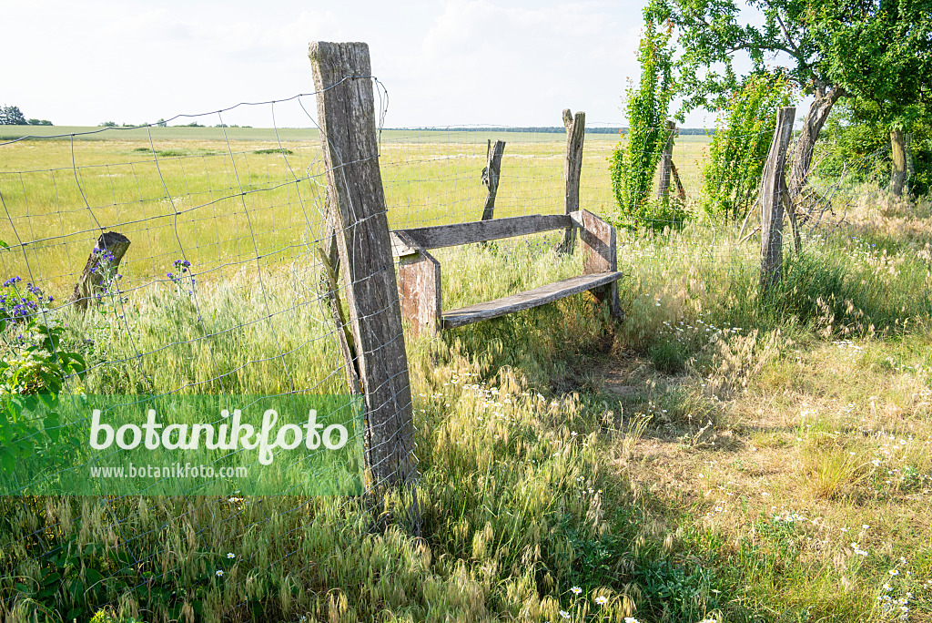 625038 - Wooden bench at a fenced fruit avenue