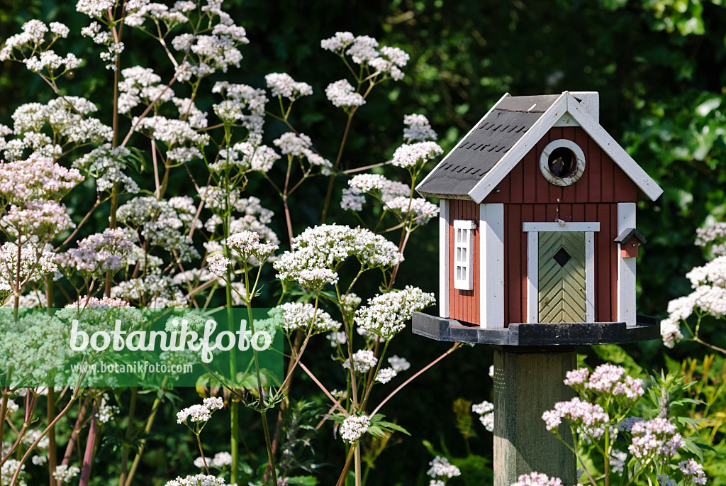 500195 - Wooden bird house