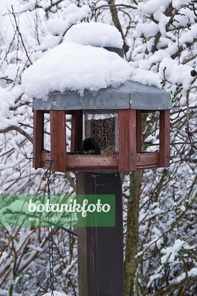 541002 - Wooden bird house