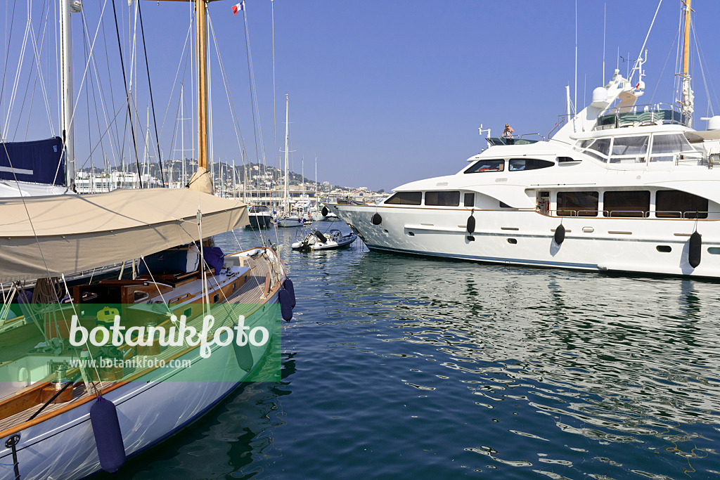 569109 - Yachthafen, Cannes, Frankreich