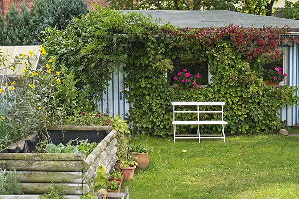 536208 - Abri de jardin avec un banc et un potager surélevé