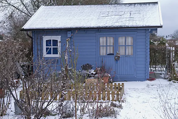 565048 - Abri de jardin bleu dans un jardin familial en hiver