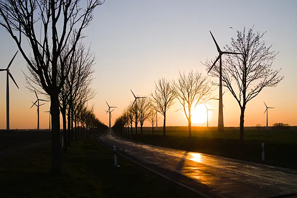 672050 - Allée bordée d'éoliennes au coucher du soleil