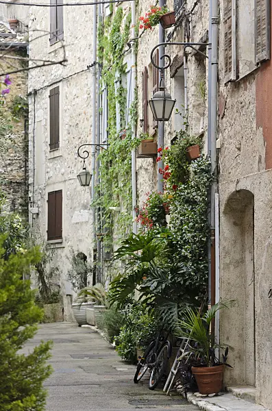569090 - Alley with flower tubs in the old town, Vence, France